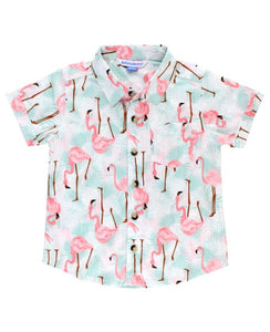 Vibrant Flamingo Short Sleeve